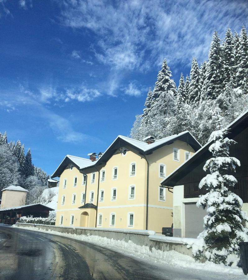 Appartements Feroli Dienten am Hochkönig Exterior foto